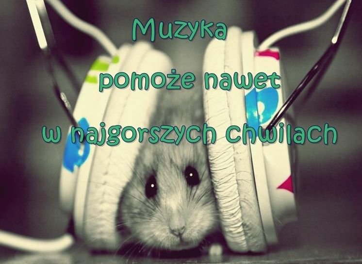 Wy te tak mylicie?