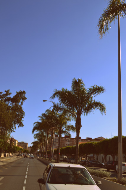 217. Welcome to angels' city!