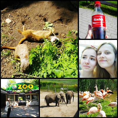 Zoo with Polly! :3