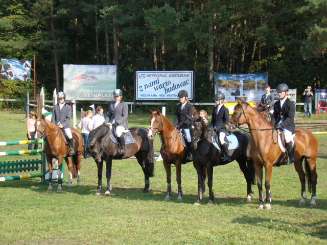 2010