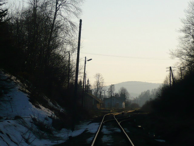 11.
