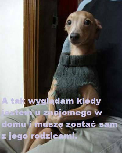 `. Jzioro .. `.