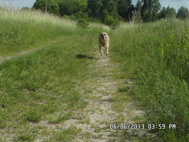Milka ;3