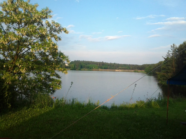 witoch!