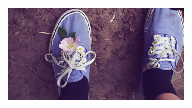 jest vans jest lans