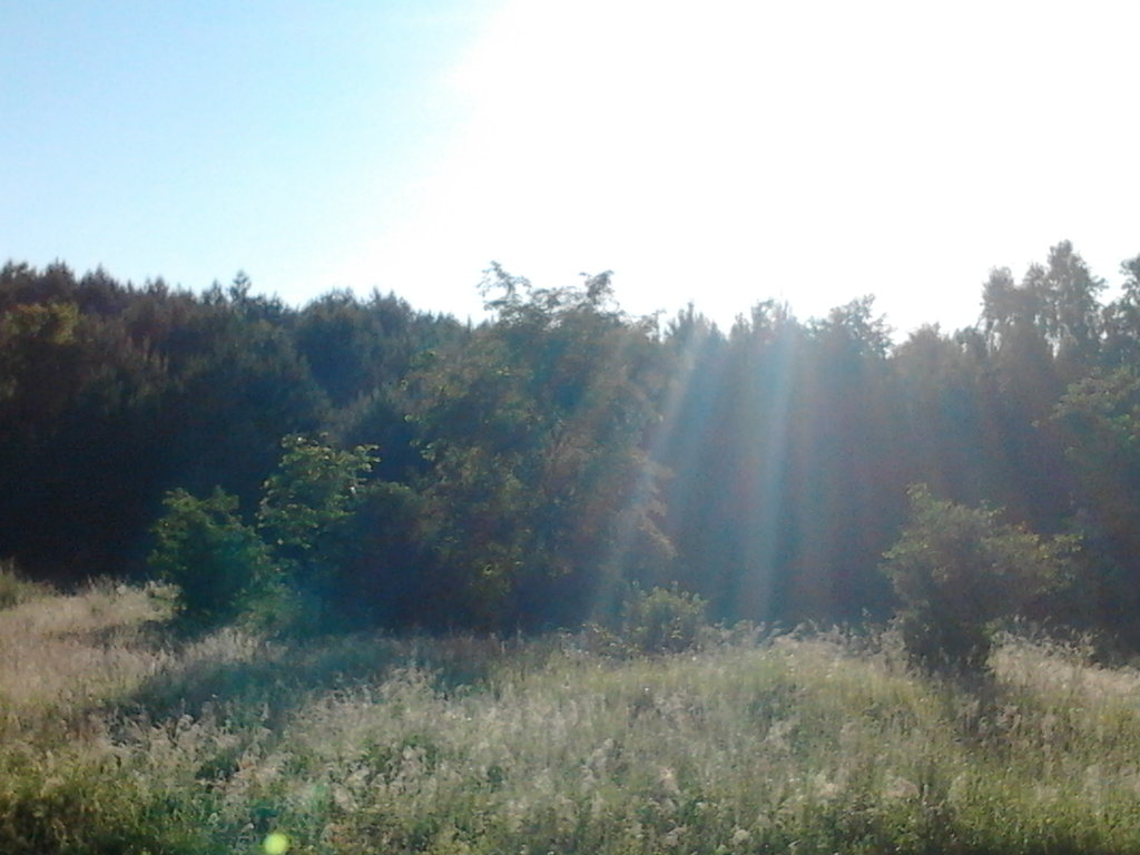 Prawie:)