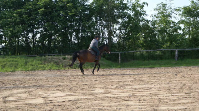 galop na Ruletce :-)