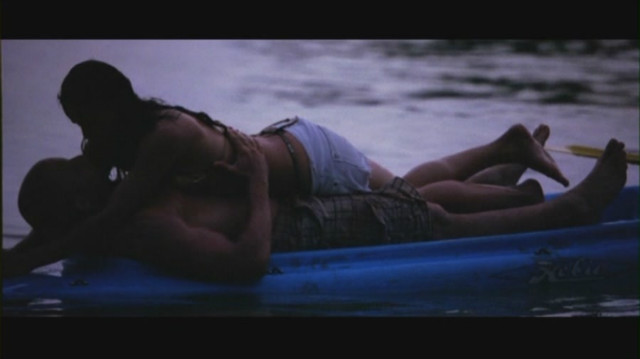 cytaty ; *