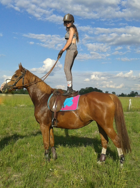 Jou ;D