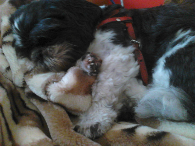 Tinka .< 3 