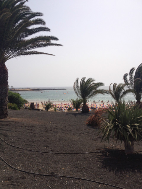 holidays