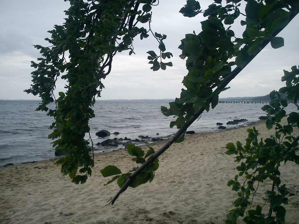 Gdynia Orowo
