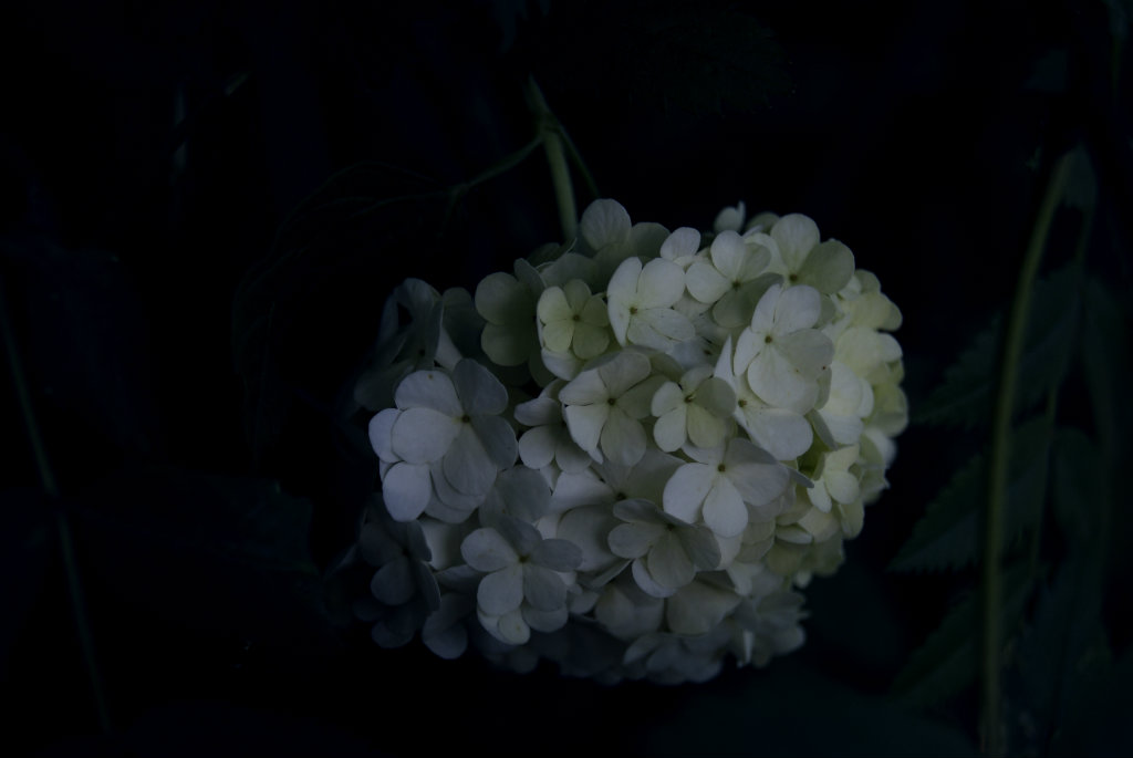 9.