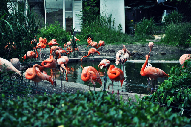 Zoo Ostrava 2