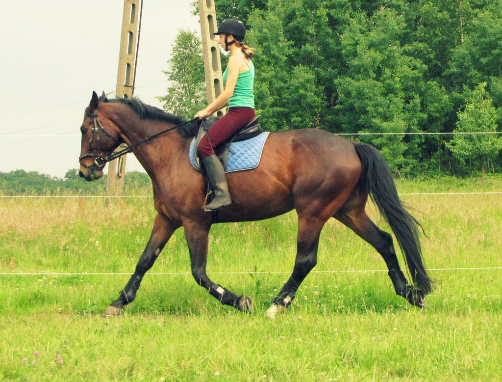 1. Witam :D