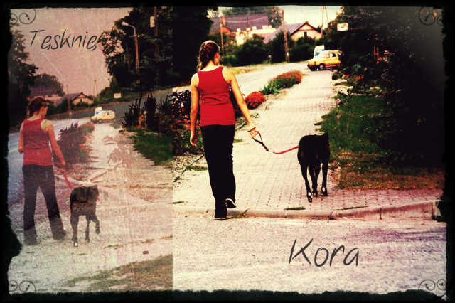 Koniec