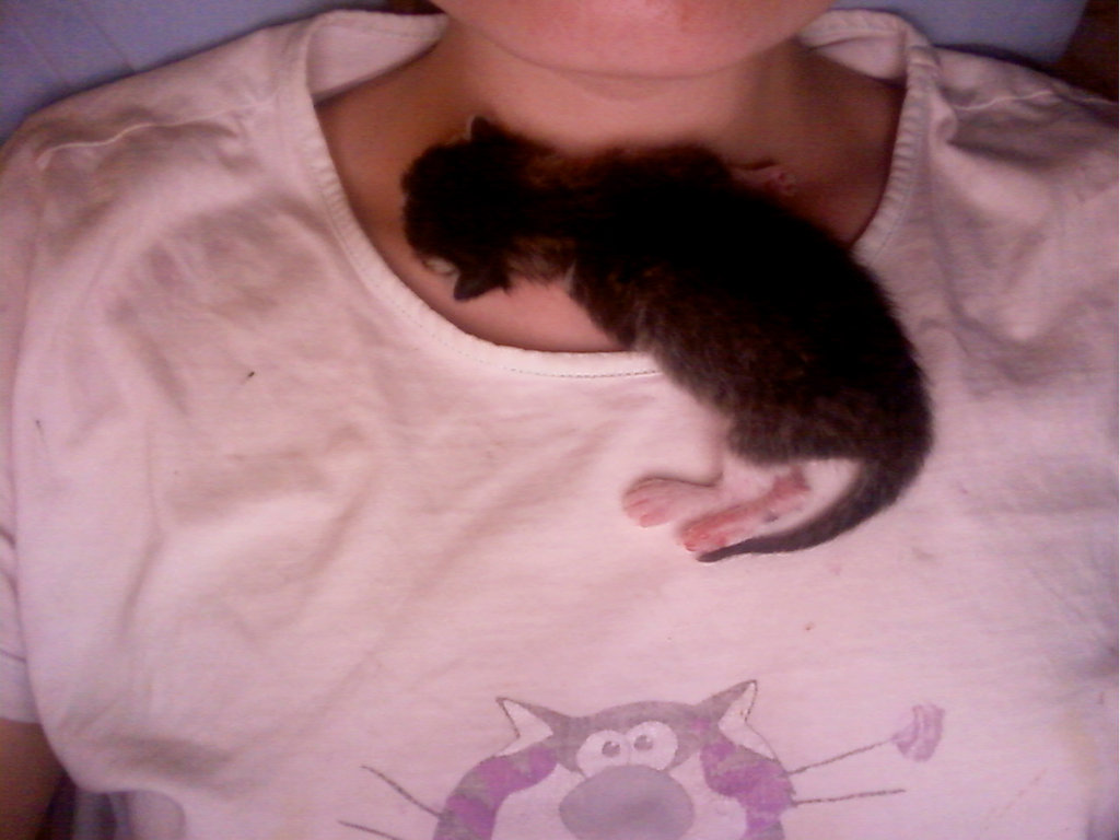 spie