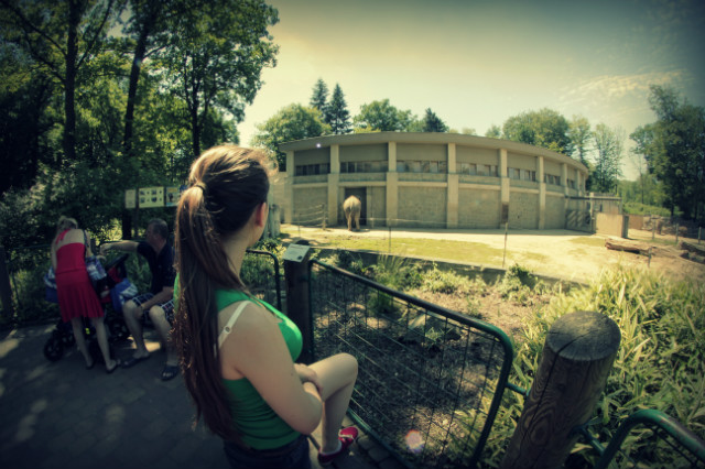 zoo