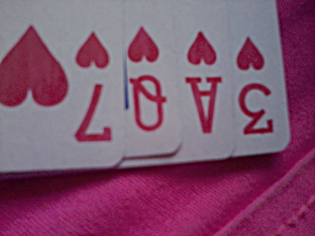 Sandra Photography, LOVE.