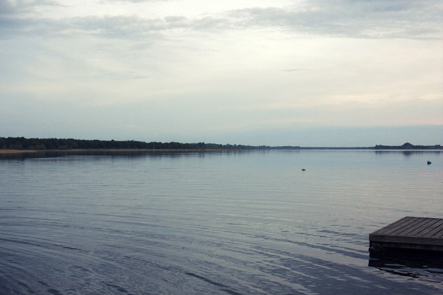 wszystko