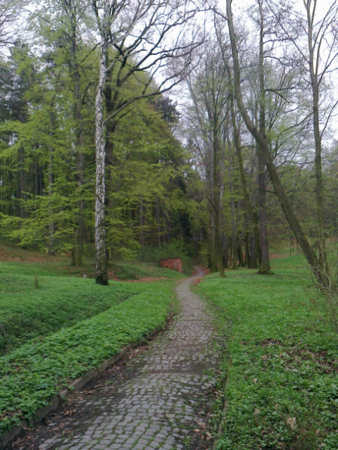 zibice