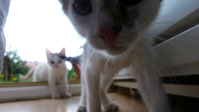 sdfghjkl