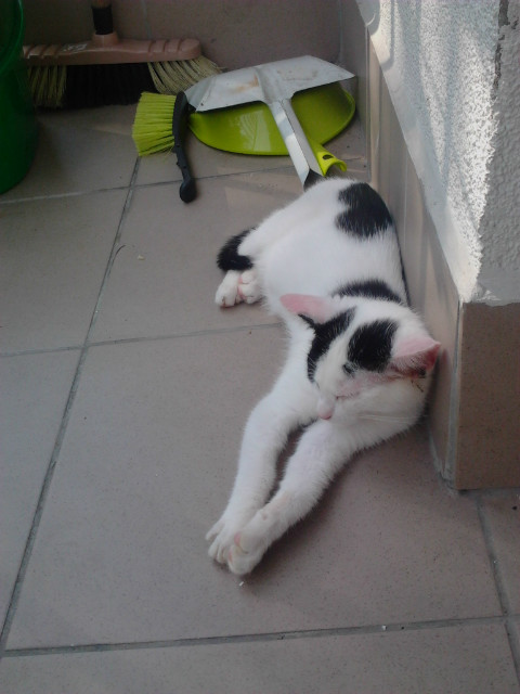 Niukaaa :D