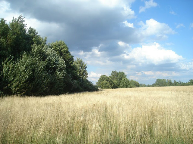 chmurki