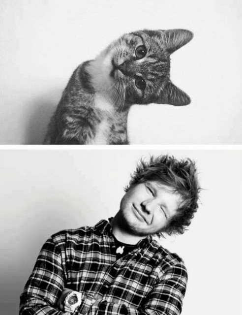 Ed Sheeran .  