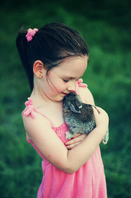 Little rabbit II