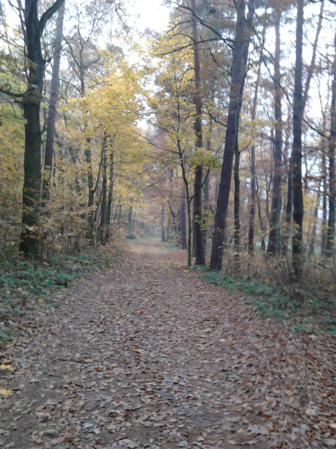 Ten drugi: cz 1