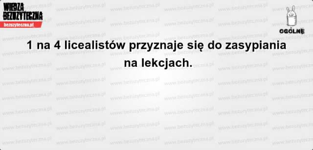 WAKACJE