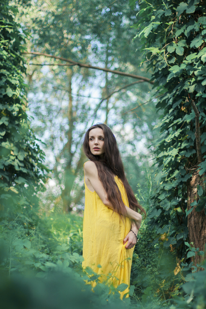 In the dreamforest.