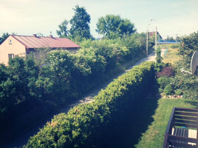 Summer time*.*