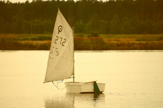 Podwolina