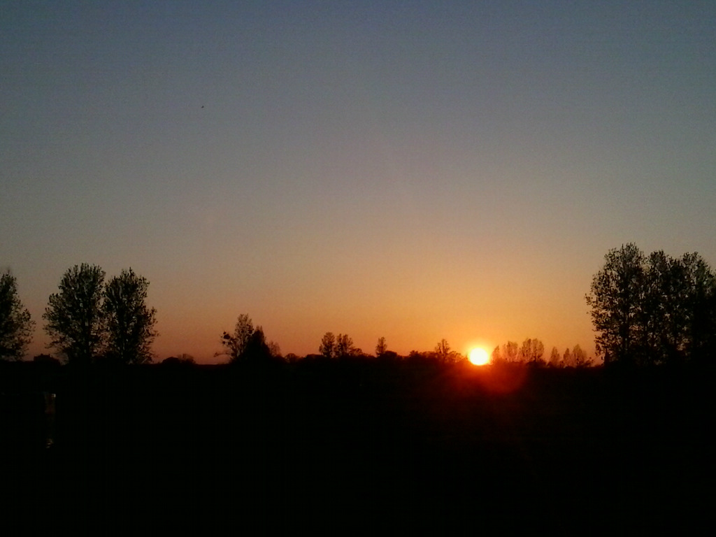 Przyjaciele