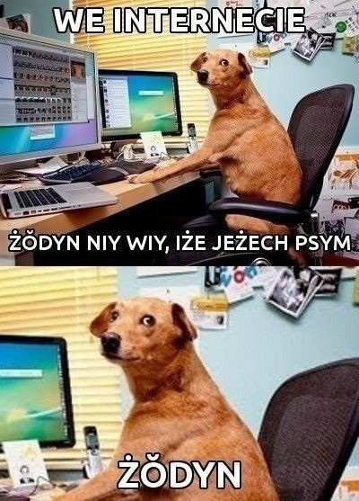 iletam godzin.
