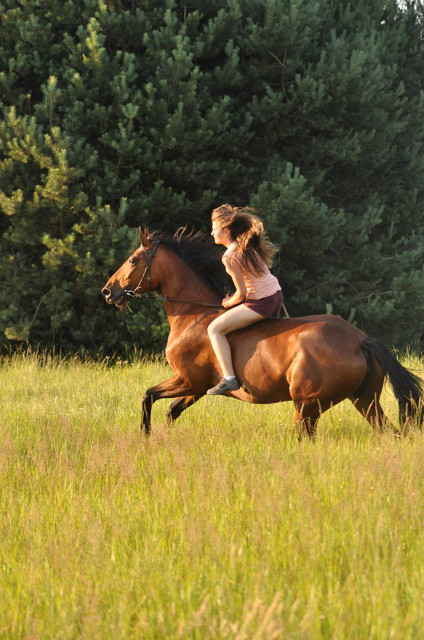 Galop :)