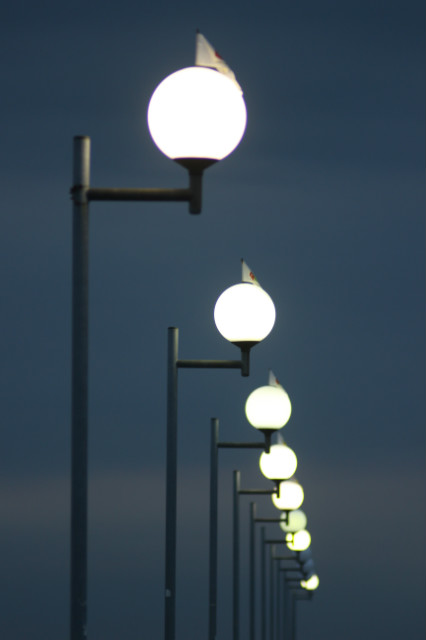 Lampy