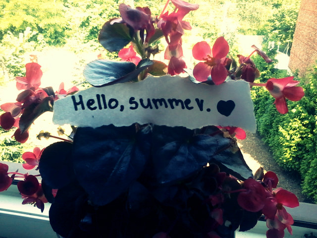 hello, summer .