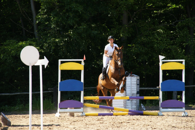 Piastowiada 2013.