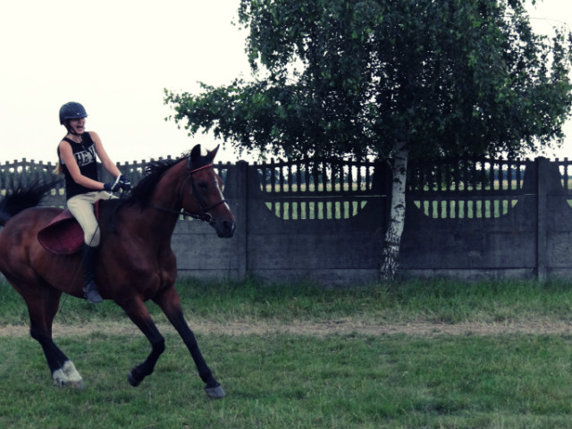 KASTA :) 