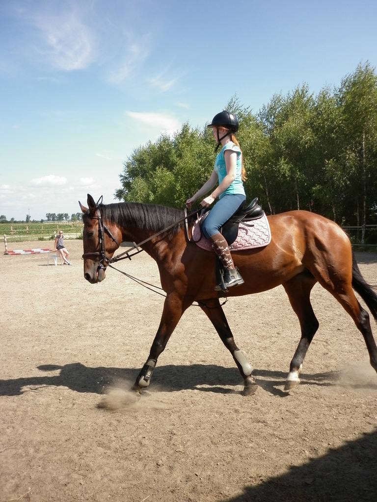 Dama < 3