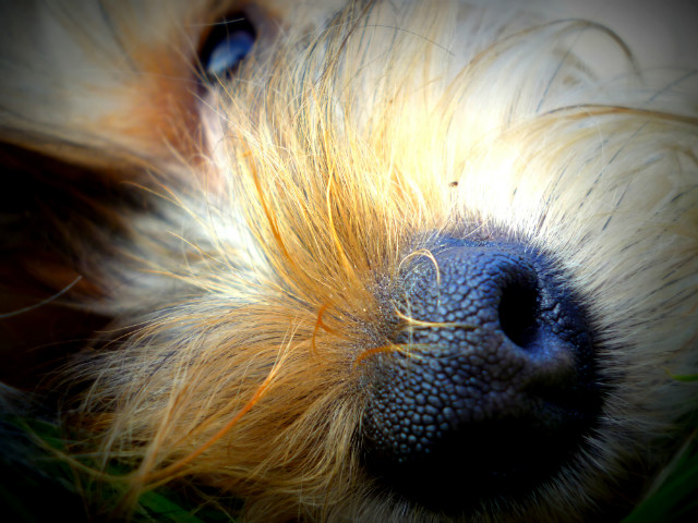 Majeczka ^^