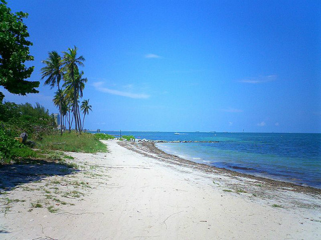 My Miami beach 