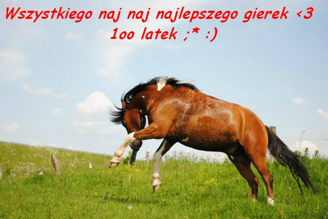 KOnik justynki :) 1oo lat :)