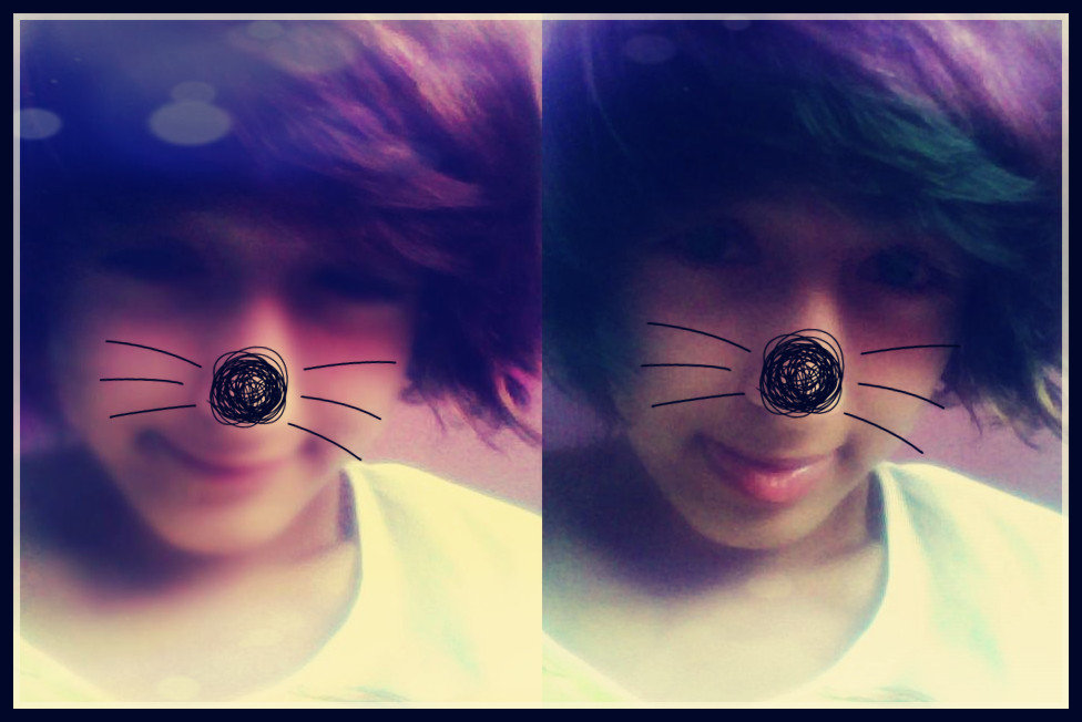 meow. 