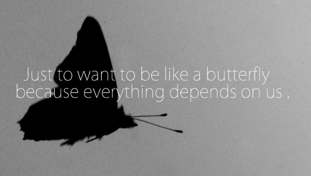 Butterfly *.*