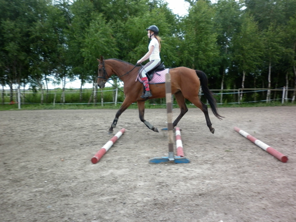 Drgi..Na Marce < 3