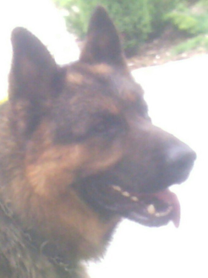 ,,Oto jest Riko''